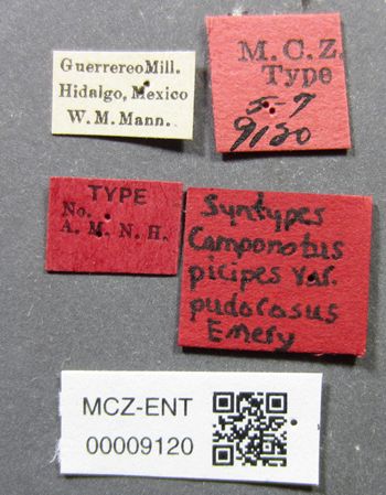 Media type: image;   Entomology 9120 Aspect: labels